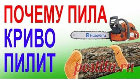 Миллионы бензопил криво пилят от этого. ТОП неисправностей шины и цепи