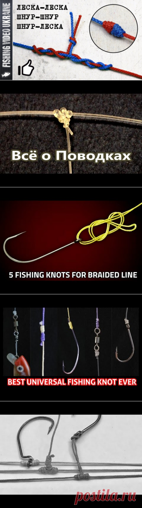Just 1 Knot You Need For Fishing - YouTube
