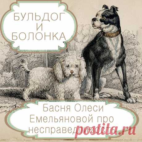 Бульдог и болонка  – басня в стихах Олеси Емельяновой про несправедливость.
С детства нас учат, что сильный должен защищать слабого. Но всегда ли это справедливо? А что если слабый не прав, и его наказывают за дело? В басне «Бульдог и болонка» как раз и рассказывается о таком лихом слабом, который постоянно всем досаждает и пользуется своей мнимой беззащитностью.