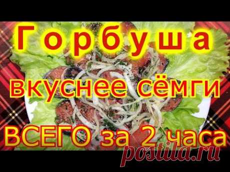 Как засолить дешевую горбушу вкуснее дорогой семги. 5 минут на подготовку и 2 часа на засолку