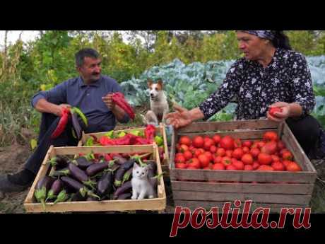 Заготовка на Зиму - Овощной  Салат на Углях