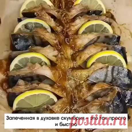 Скумбрия