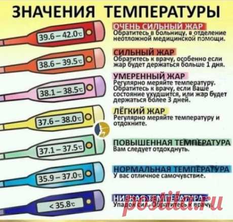 Основные показатели температуры нашего тела.
Оказывается, что норма не только 36,6.