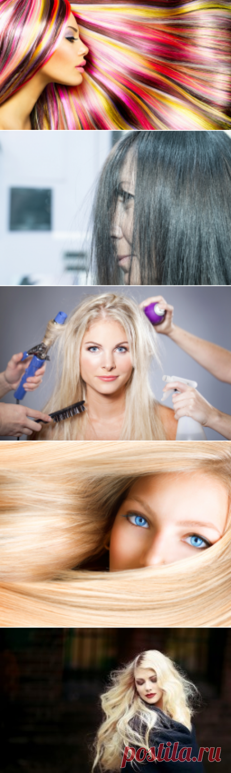 Почему секутся волосы? | Красота и здоровье