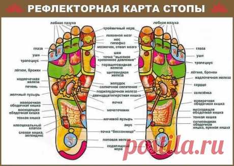Правильный массаж стоп. 
Помимо того, что массаж стоп очень приятен и обладает мощным расслабляющим эффектом, он еще снимает усталость, улучшает сон, активизирует иммунную систему, воздействуя на весь организм в целом.
На конечностях широко представлены биологически активные точки, нажимая, надавливая, растирая которые можно опосредованно подействовать практически на любой внутренний орган.
Даже не имея никакого медицинского образования человек способен, просто ощупывая ст...