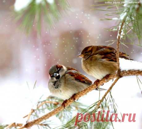 20 лучших фотографий недели (30.12.2013-5.01.2014) | В мире интересного