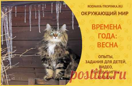 Времена года для детей: весна. Занимательно об окружающем мире. Времена года: весна. Материалы для игр и занятий с детьми. Познавательное видео о весне для детей. Эксперименты и наблюдения в природе. Речевые упражнения.