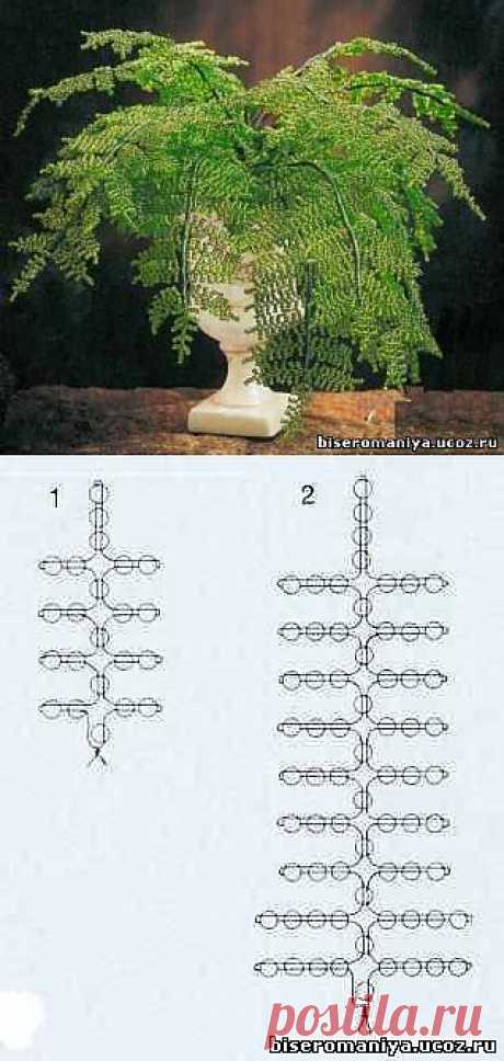 Папоротник - 13 Декабря 2010 - Бисеромания