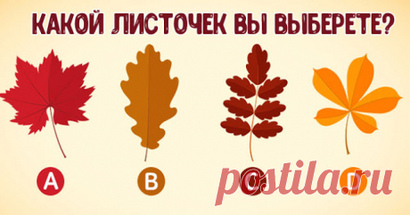 Выберите листочек и узнайте, какой вы человек в отношениях 
Сегодня мы предлагаем вам подумать об осени. Закройте глаза и представьте, как разноцветная листва осыпается с деревьев, накрывая землю ярким одеялом. А теперь подумайте, какой из листочков вам нрави…