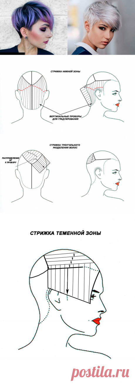 Женская стрижка пикси на короткие волосы с челкой. Технология. Классический вариант.