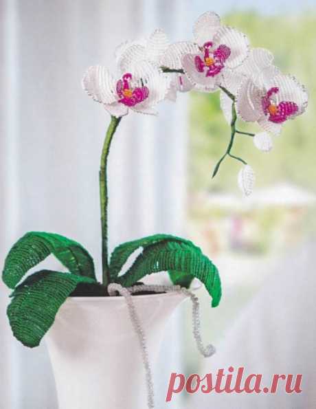 Белая орхидея из бисера / Цветы / Biserok.org