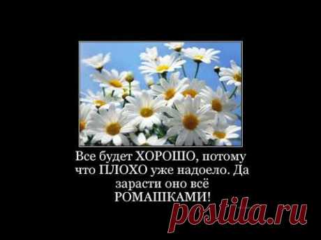 Юмор. Деньги - это грязь,но грязь лечебная...Веселая открытка для поднятия настроения. Море Позитива