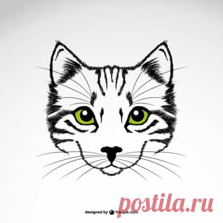 зеленые глаза кошки векторной графики Более миллиона свободных векторов, PSD, фотографии и бесплатные иконки. Эксклюзивные халявы и все графические ресурсы, которые необходимые для ваших проектов