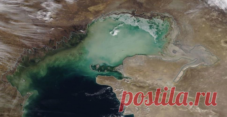 На сайте РГП «Казгидромет» опубликован космический снимок северной части Каспийского моря проекта где видно, что уровень воды понизился.  
