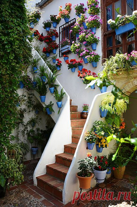 Cordoba Patio