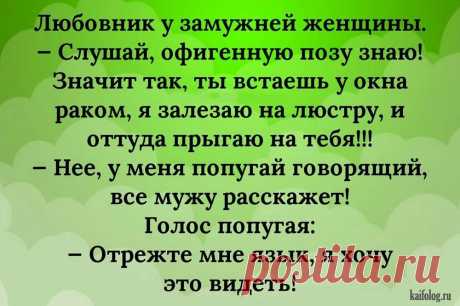 Великолепное настроение для всех: подборка классных анекдотов, шуточек и всяких завабностей и приятностей