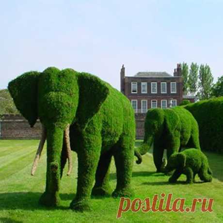 elephant topiaries.