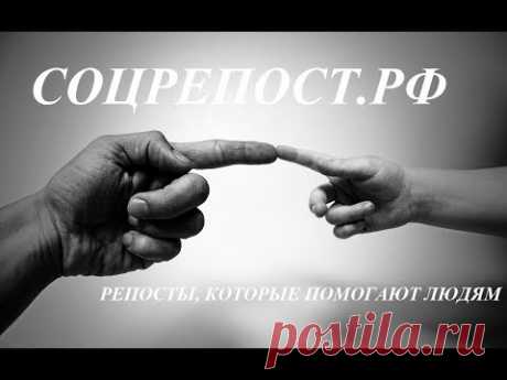 Социальные репосты #Соцрепост Поиск пропавших людей и животных, помощь людям, общественные проблемы