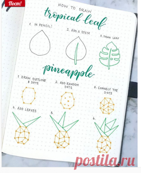 Marion - Bullet Journal France в Instagram: «C’est reparti pour tes tutos dessins ! J’adore 😍 #tutorial #doodle #drawing #howto #howtodraw #pineapple #ananas #tropical #bujo…»