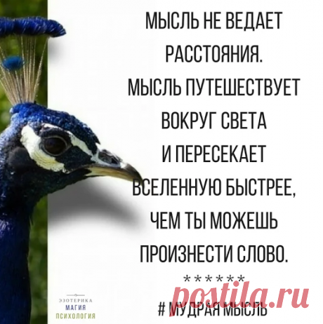 Елена Сергиенко - Google+