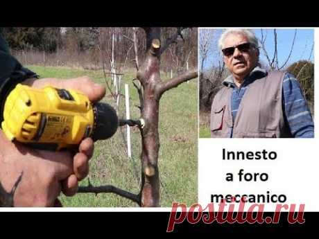 Innesto a foro meccanico - YouTube