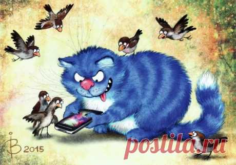MARINA RICHE Весёлое время с котиками: 1 тыс изображений найдено в Яндекс.Картинках
