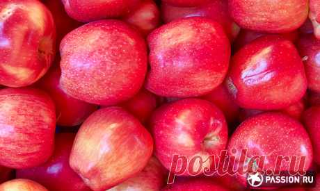 Как правильно хранить яблоки, чтобы они не испортились и сохранили максимум витаминов, рассказывает Passion.ru.