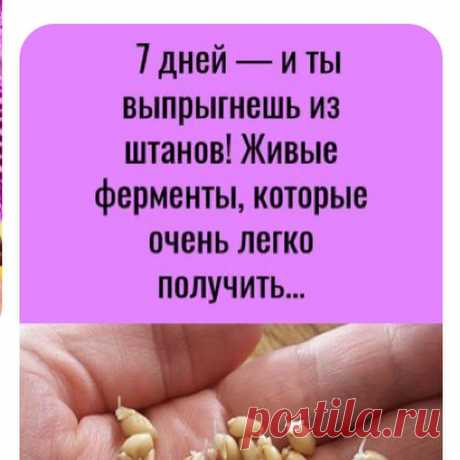 ВАШ ЛЕЧЕБНИК в Instagram: «Многие считают, что питаться здоровой едой каждый день — дорогое удовольствие. Но это совсем не так. Самая полезная еда на земле стоит…»