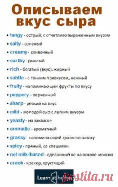 Как сказать о вкусе сыра на английском #english #vocabulary #cheese #английский #сыр #словарь