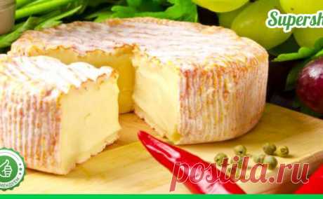 Мы расскажем вам как приготовить дома настоящий французский сыр - БАгиня