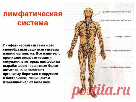 ПолонСил.ру - социальная сеть здоровья