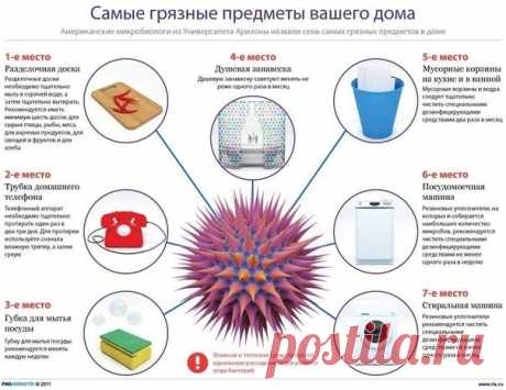 ВАЖНО! Самые грязные места и предметы в доме!