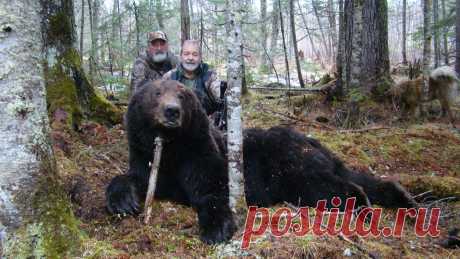 https://www.sergoutfitter.com/articles/hunting-2014-amur-brown-bear-report-part-one