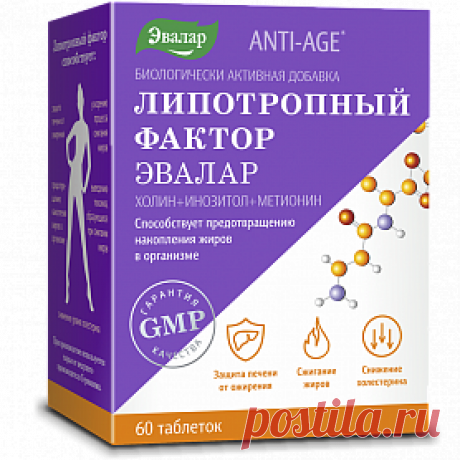 Липотропный фактор таблетки для ускорения жирового обмена - инструкция, цена | купить Липотропный фактор на официальном сайте Shop.evalar.ru