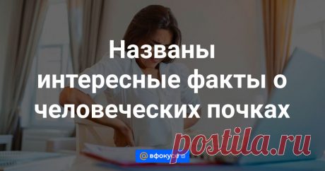 Ежегодно каждый второй четверг марта отмечается Всемирный день почки. В честь такого необычного праздника мы собрали несколько увлекательных фактов об этом удивительном органе. Берегите его и будьте здоровы!