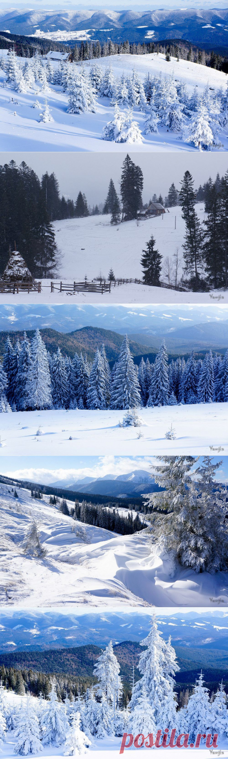 ФотоТелеграф  &amp;raquo; Снежный Кукуль