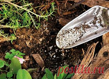 Кислотность почвы 

  Кислотность почвы очень сильно влияет на жизнь растений. Если Вы решили что-то сажать, то лучше заранее ознакомиться с почвой и при необходимости подготовить её к посадке. Как это сделать, читайте далее...
