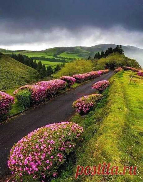 Bellezas de la naturaleza