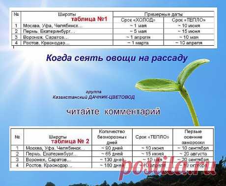 сроки посадок рассады