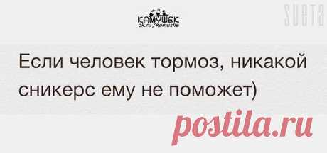 Если лошадь говорит тебе, что ты сумасшедший значит это действительно так...бесит фраза из рекламы:если кашляют детишки-им поможет синий мишка!очень хочется ответить:если делаешь рекламу-не кури марихуану!!!!