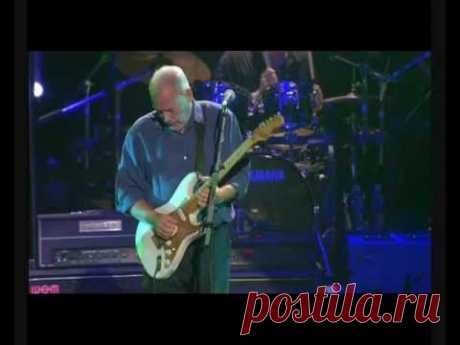 Solo Guitar -  Gilmour / Marvin - In Concert "50  Years Of The Fender Stratocaster"