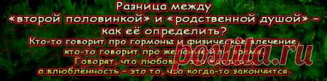 Эти биологические ответы кого-то устраивают, но не всех, и это нормально: вряд ли стоит забывать про духовную жизнь, которая, может быть, самое главное, что отличает человека от какой-нибудь выдры. 
И тут есть очень понятные, очень простые и ясные размышления, которые могут объяснить эту сакраментальную разницу между влюблённостью и любовью. 
Любовь – это «вторая половинка», влюбленность – это «родственная душа».