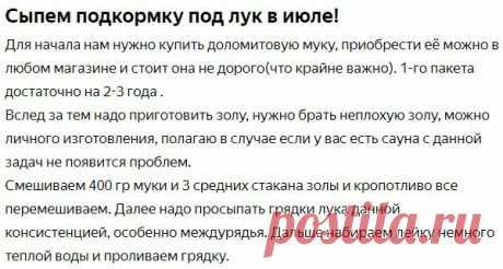 Соседка рассказала, что сыпет под лук в июле, после чего он вырастает размером с картошку | Блог Васильевых | Яндекс Дзен