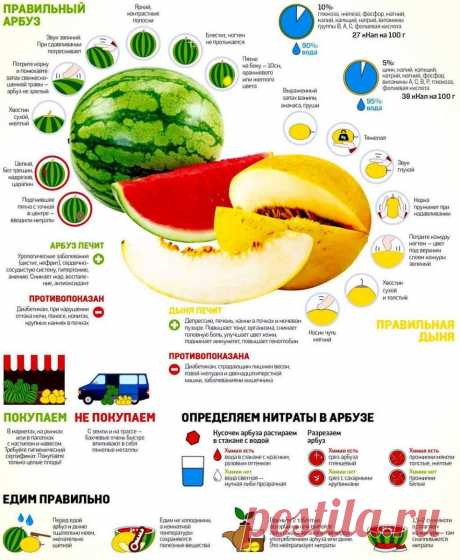 ПРАВИЛЬНЫЙ АРБУЗ И ПРАВИЛЬНАЯ ДЫНЯ
