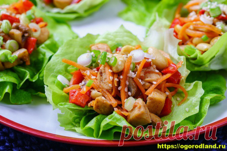 Тайский салат из обжаренной курицы и овощей Тем, кому очень нравится тайская кухня, рекомендуется обратить внимание на сытный и ярк