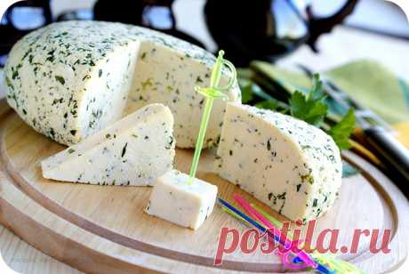 Домашний сыр с зеленью и чесноком - Салаты и закуски - Smak.ua