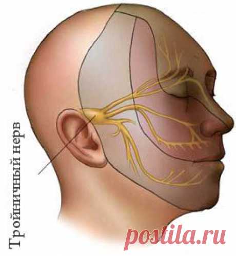 Лечение невралгии тройничного нерва народными средствами..... | Познавательный сайт ,,1000 мелочей&quot;