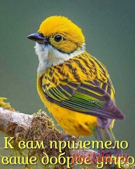 Умер гаишник. Предстал перед богом. Бог спрашивает: - Ну что ты, сын мой, делал ли ты людям добро? - Да, бывало. - А зло? - И такое было. - Ну, вот тебе две дороги, одна в рай, другая в ад. Какую выберешь, туда и попадешь. Мент отвечает: - А можно я здесь, на перекрестке останусь? - Выпуск №2627