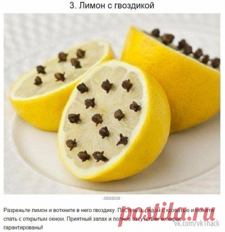 ​Как бороться с комариными укусами как предотвращать их — Полезные советы