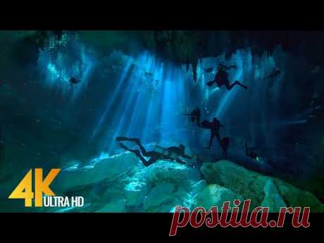 4K Сеноты - Подводные пещеры Мексики - Невероятный подводный мир - 3 ЧАСА